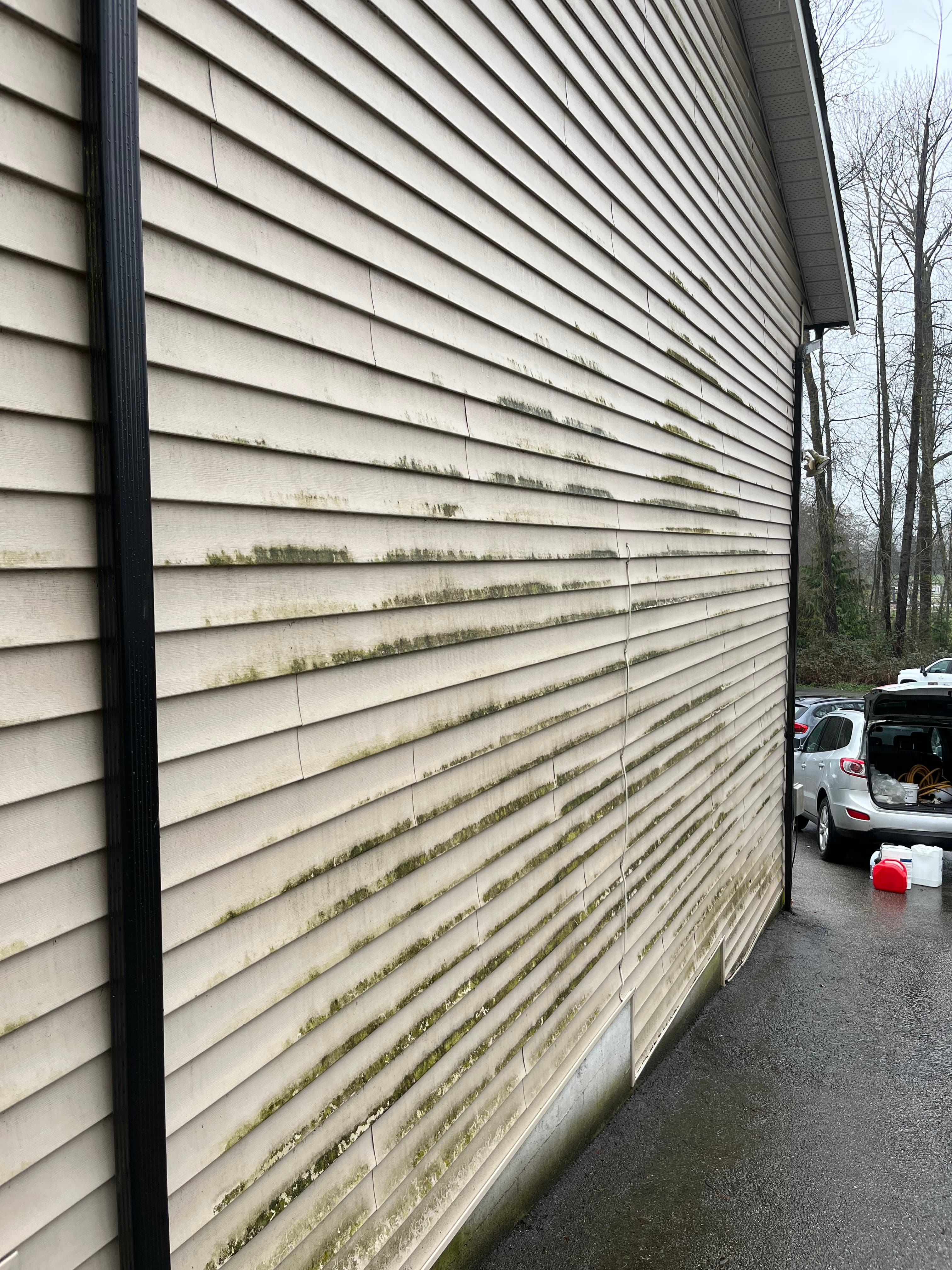 Before pressure washing